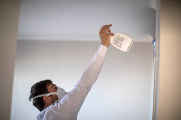 Mold Testing and Removal in Kannapolis, NC