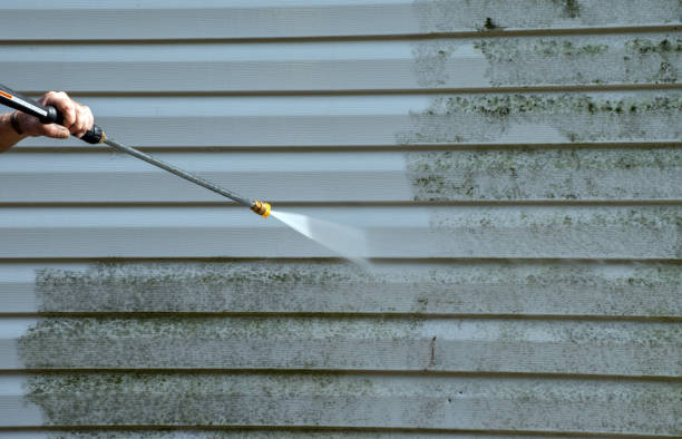 Best Mold Damage Repair  in Kannapolis, NC