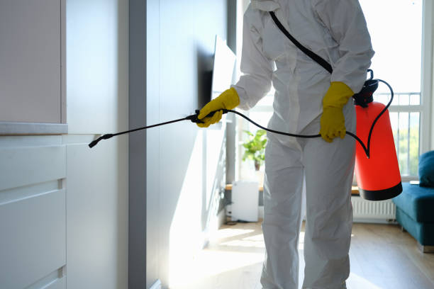 Best Crawl Space Mold Removal  in Kannapolis, NC
