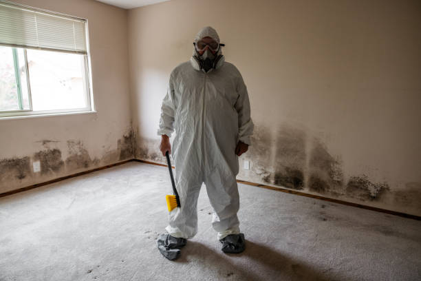 Best Affordable Mold Removal  in Kannapolis, NC